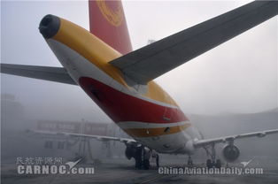 成都機場大霧籠罩，數(shù)萬旅客滯留，航空信息全面解析