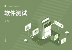 深圳 中國軟件開發(fā)的創(chuàng)新引擎與人才高地
