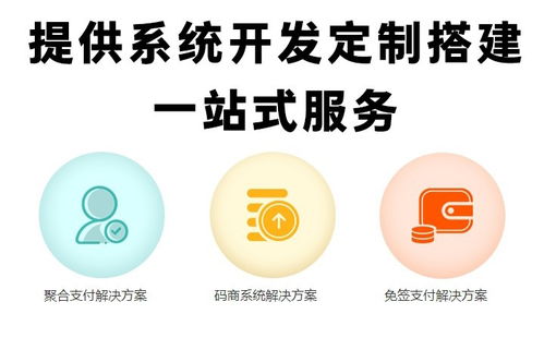 深圳軟件開發(fā) 免簽支付系統(tǒng)源碼開發(fā)的實(shí)踐與前景